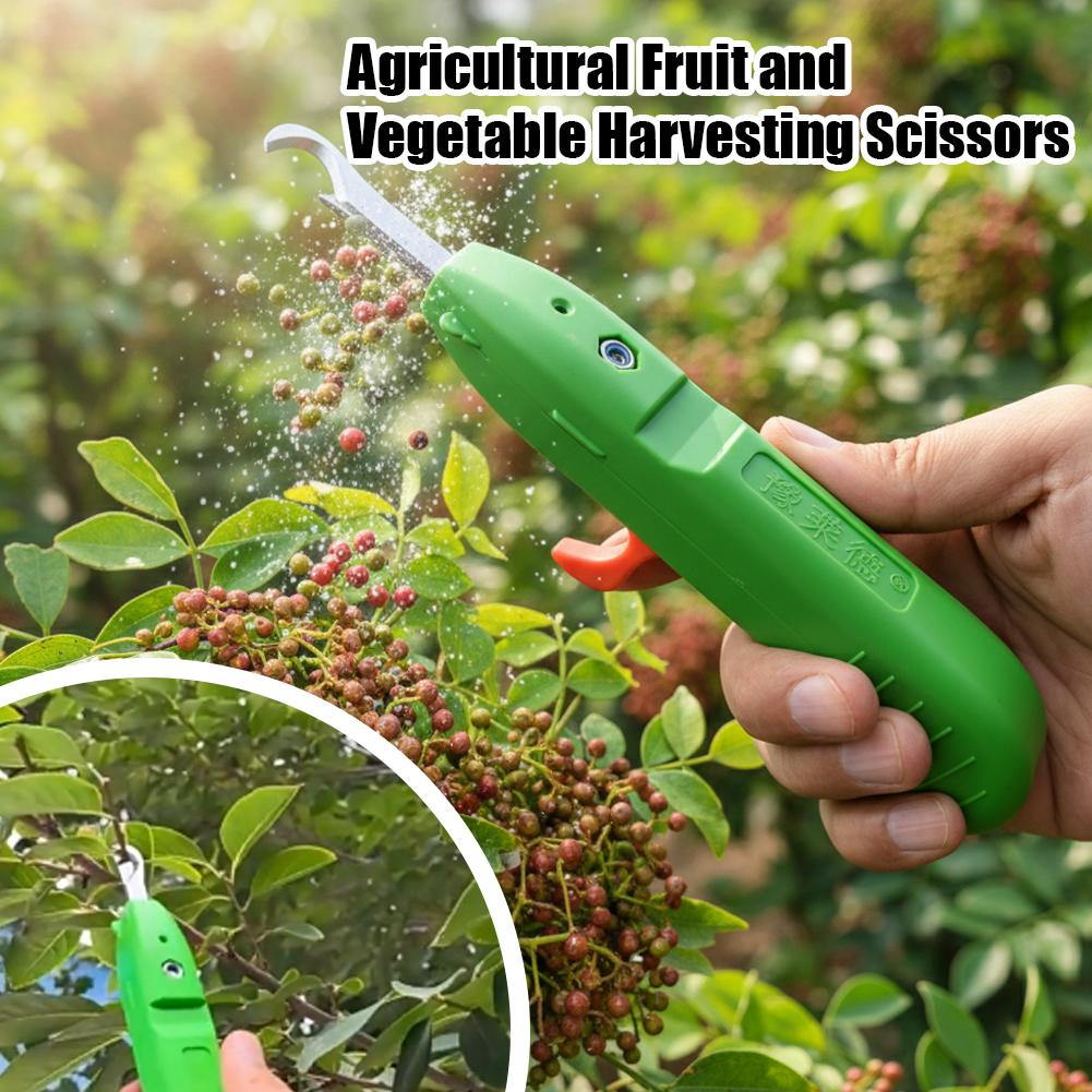 Gardening Tools Scissors - 園芸用剪定鋏 農業用具 ぶどう摘み用ハサミ 果物 花 胡椒摘み用鋏