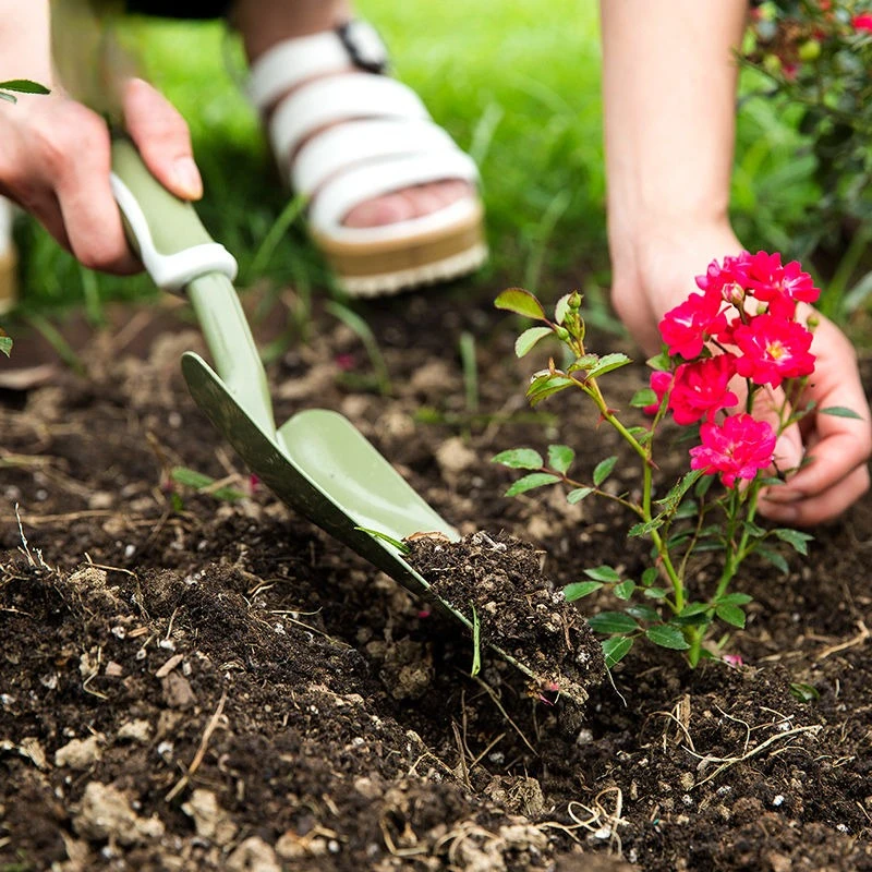 Spade Digging Fork - 耐久性のある小型シャベル爪付き鍬 花や野菜の植え付け 土掘り 土壌ほぐし シャベルセットツール