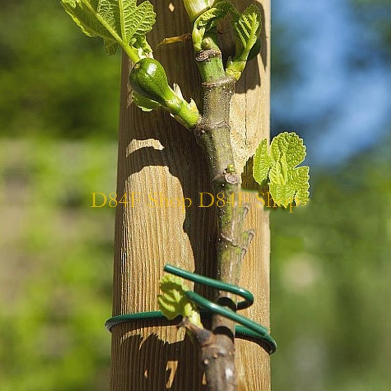 Garden Wire Twist Tie - D84F 2.5 ミリメートル × 10 メートルグリーンソフトツイストタイ植物ネクタイ柔軟な