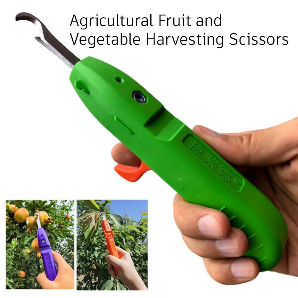 園芸用剪定鋏 農業用具 ぶどう摘み用ハサミ 果物 花 胡椒摘 - Gardening Tools Scissors のレビューと価格