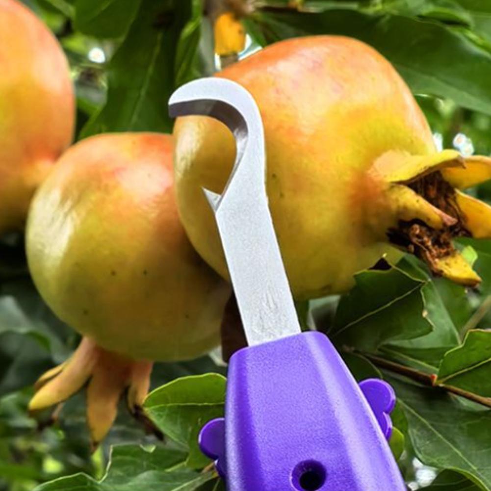 園芸用剪定鋏 農業用具 ぶどう摘み用ハサミ 果物 花 胡椒摘 - Gardening Tools Scissors のレビューと価格