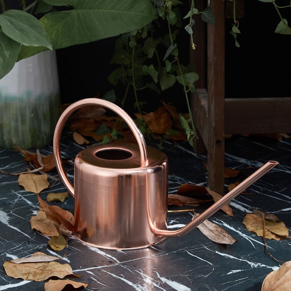 高品質1.3L植物散水ケトル大容量ロングスパウト水差し漏れ防 - Gardening Tools Best Quality のレビューと価格