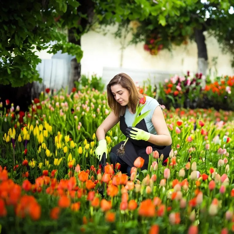 2in1ガーデンレーキ手動種子草根除去ツールプーラーシャベル - Gardening Tools To Remove Weeds のレビューと価格
