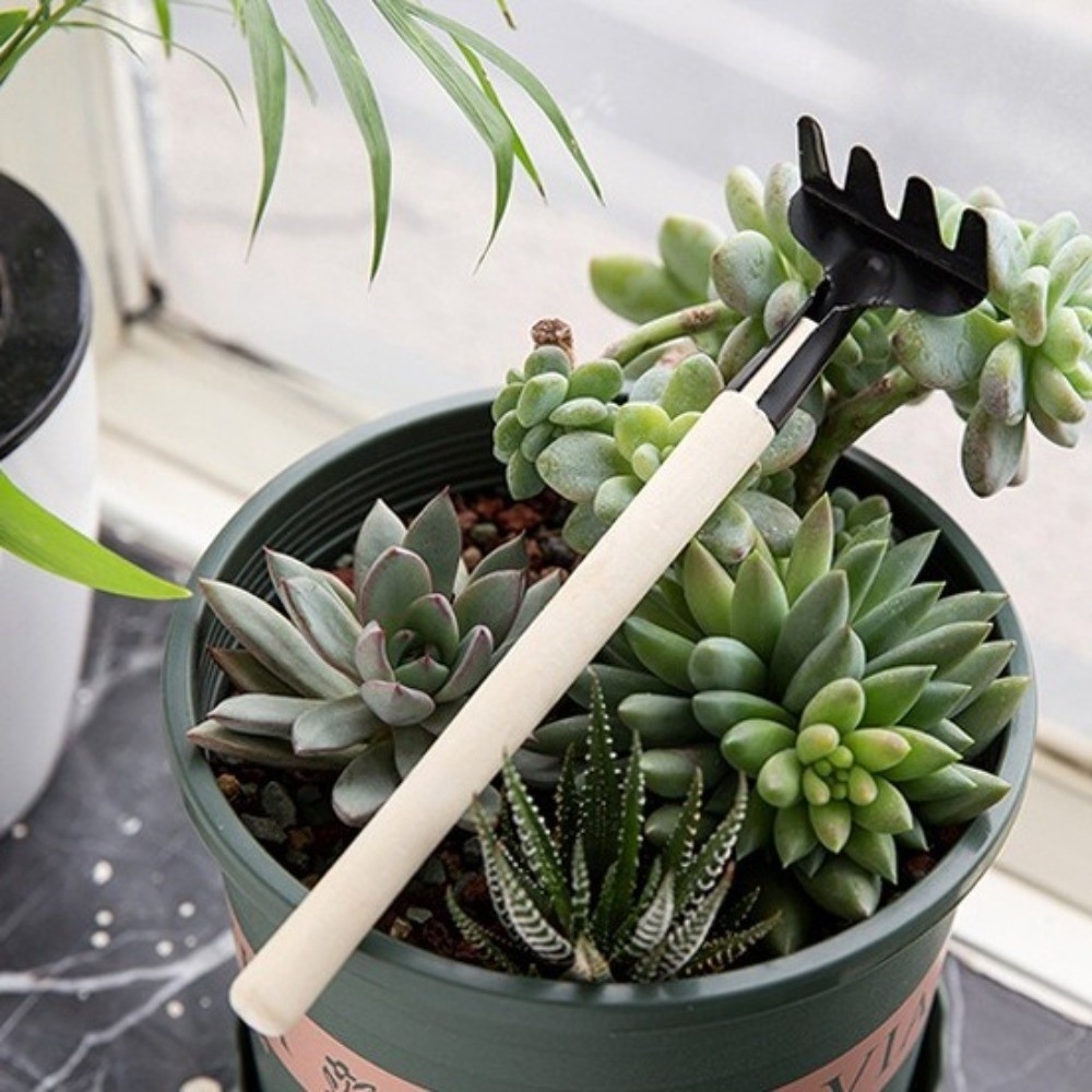 多機能ミニガーデン植栽ツールセット土掘りシャベル頑丈な盆栽移 - Spade Digging Fork のレビューと価格