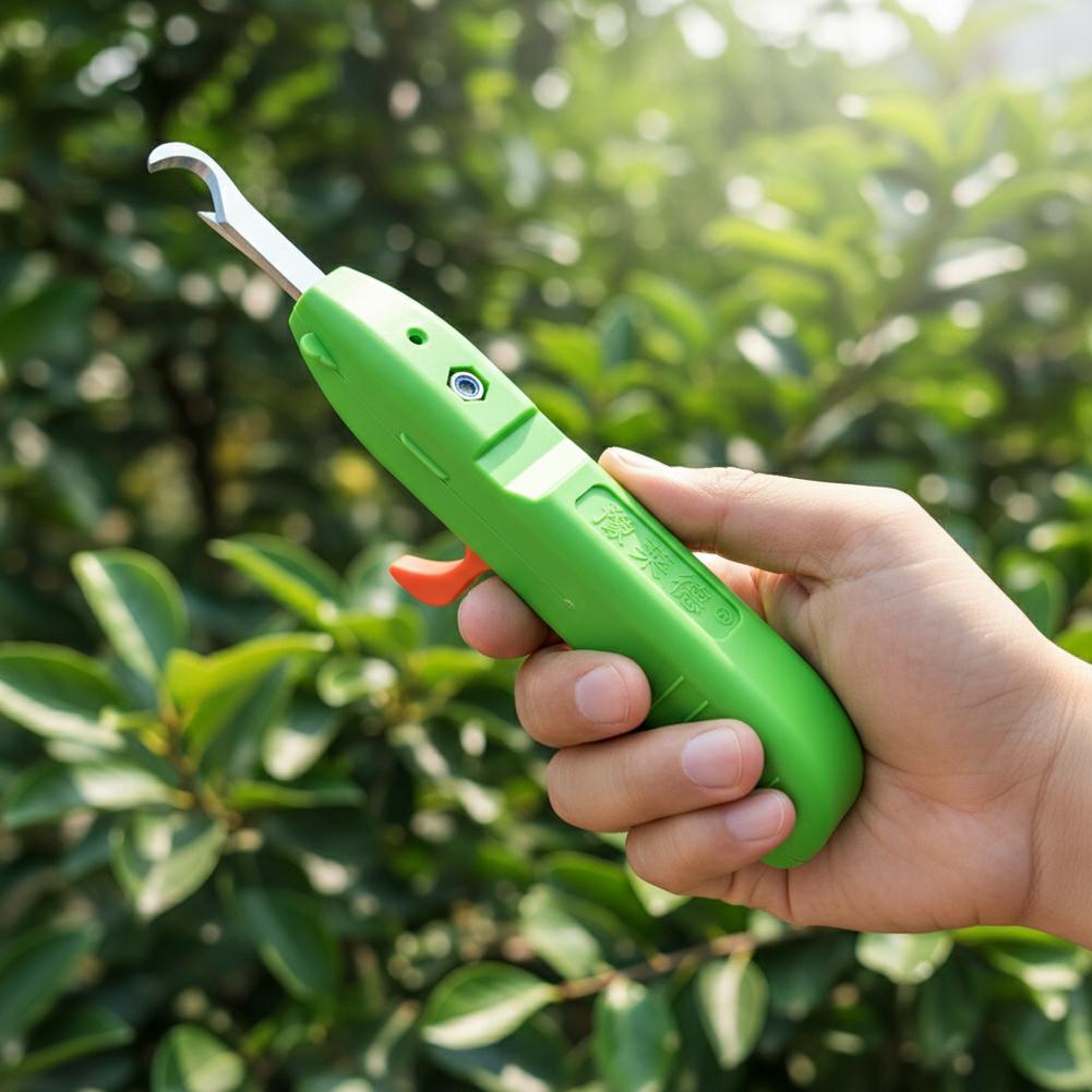 果物と野菜の収穫用剪定鋏、庭用剪定ばさみ、曲刃収穫ツール、ブ - Gardening Tools Wholesale のレビューと価格