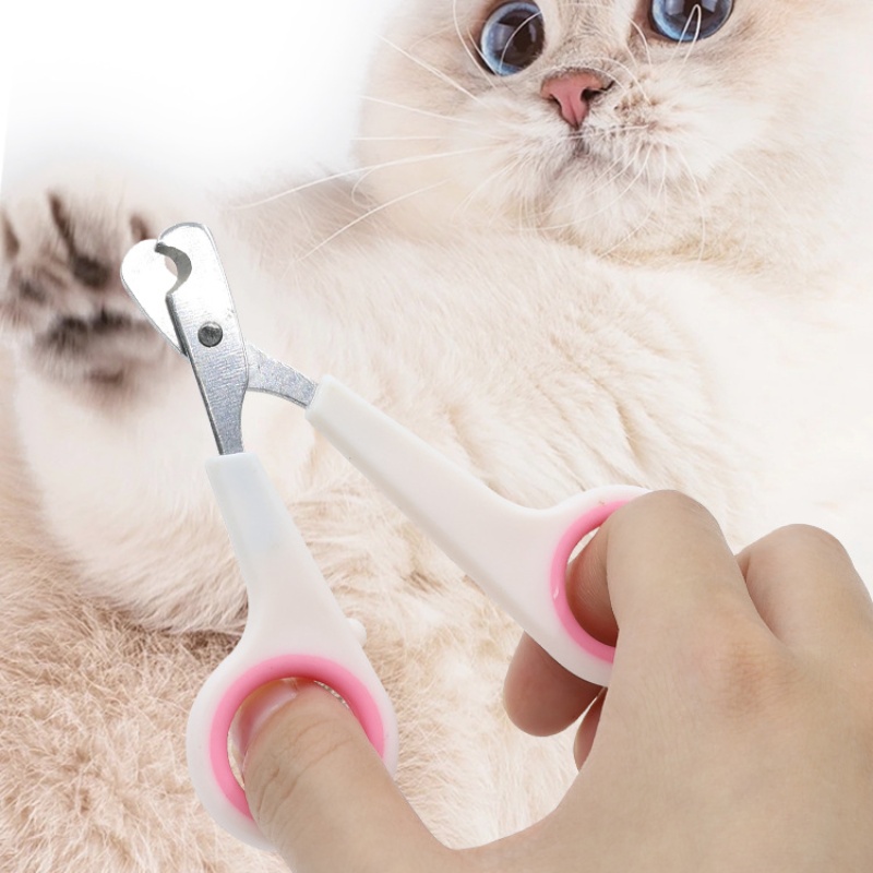 ペットの爪切り 犬の爪切り ハサミ 子犬 猫の爪切り 動物ト - Essential Gardening Tools のレビューと価格