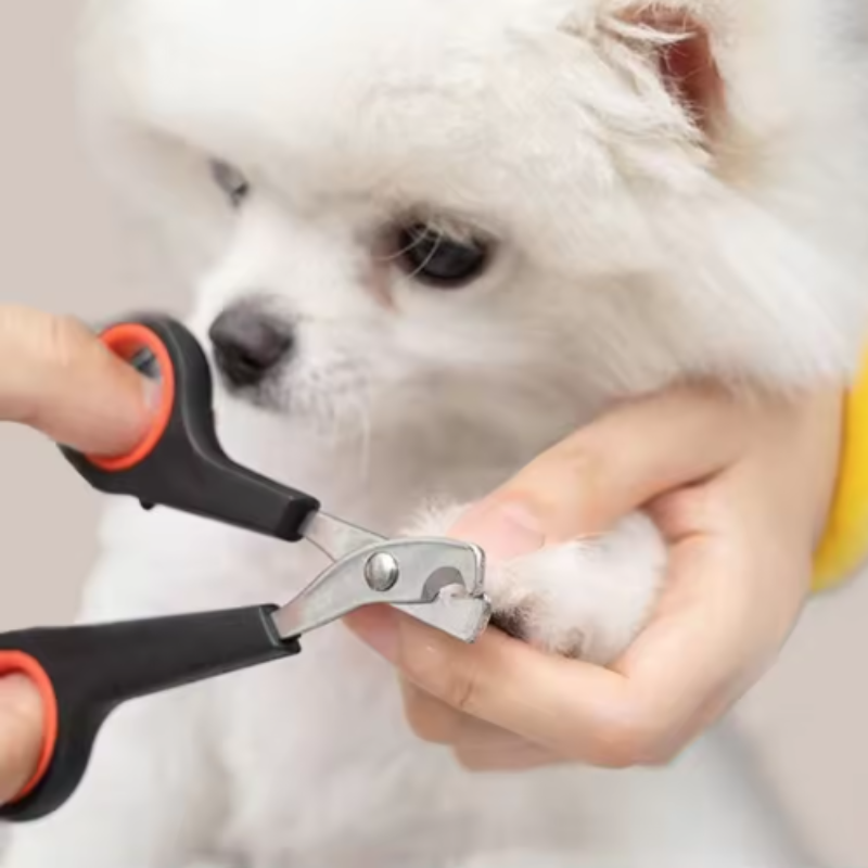 ペットの爪切り 犬の爪切り ハサミ 子犬 猫の爪切り 動物ト - Essential Gardening Tools のレビューと価格