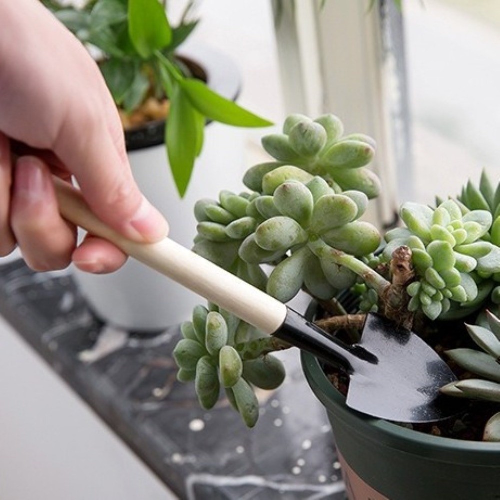 多機能ミニガーデン植栽ツールセット木製ハンドル土掘りシャベル - Spade Digging Fork のレビューと価格