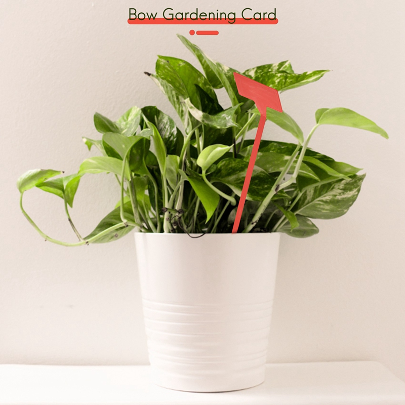 ABYP ガーデン植栽ツール 50 個盆栽プラスチック植物ラ - Gardening Tools Types のレビューと価格