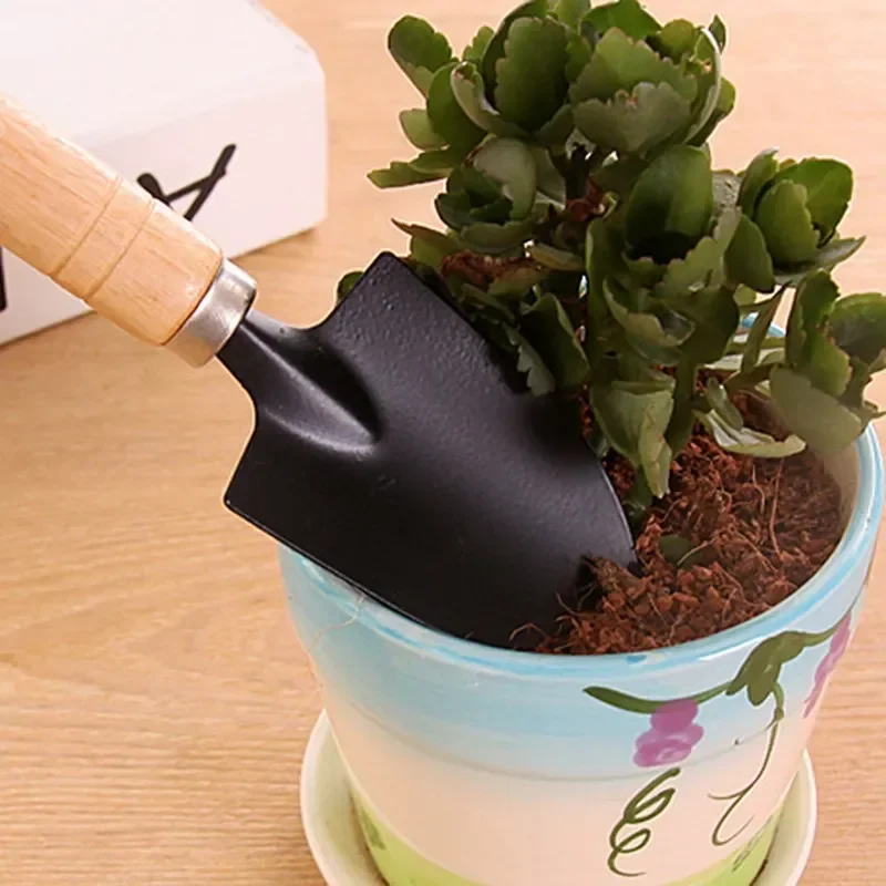 3 ピース/セットミニガーデンツールセット小型屋内植物ケア掘 - Gardening Tools Wholesale のレビューと価格