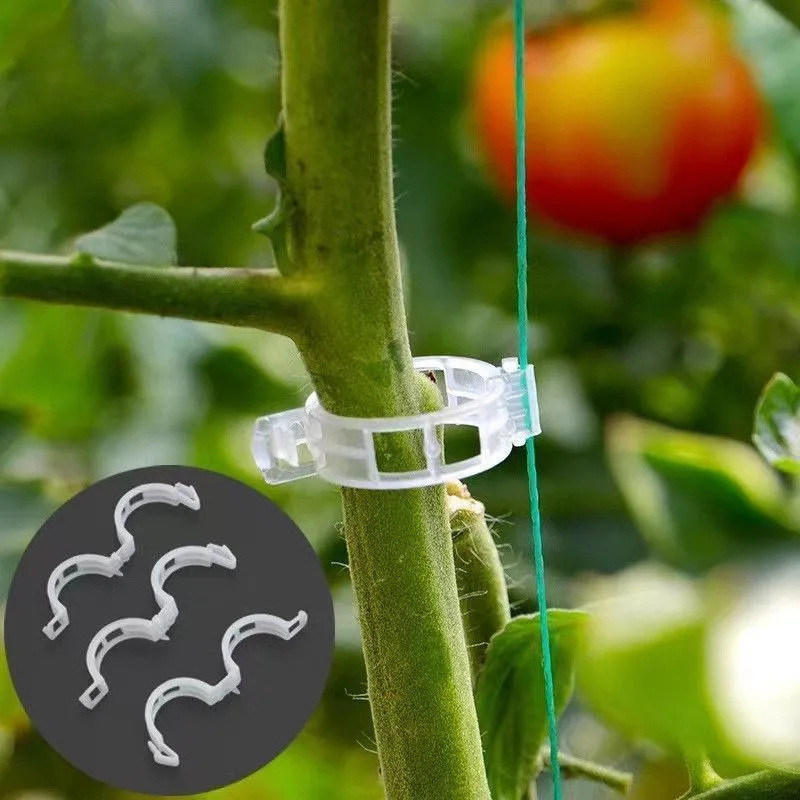 屋外用卸売ガーデン植物クリップ プラスチック製つるサポート  - Gardening Tools Wholesale のレビューと価格
