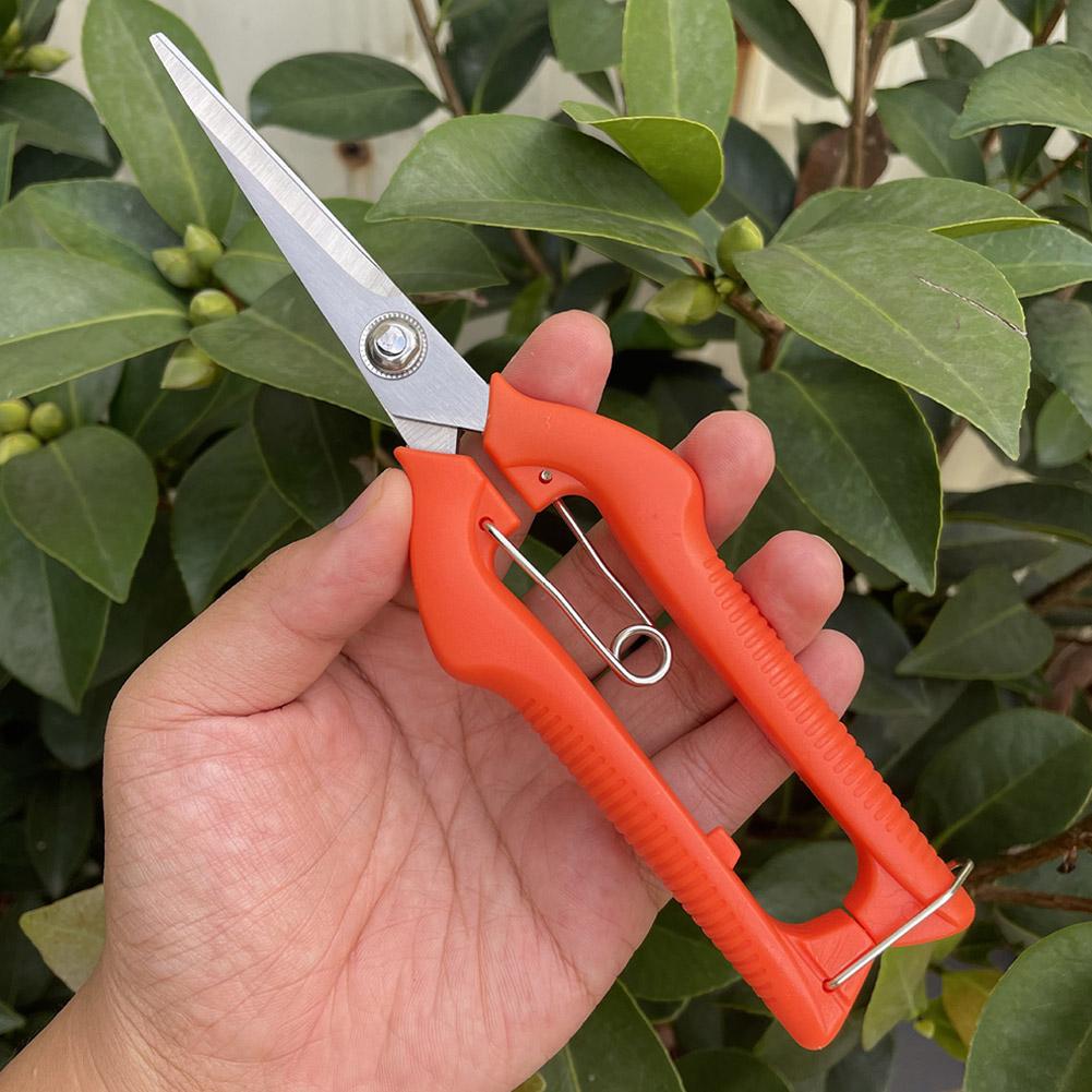 プロガーデン剪定鋏 延長型木花鋏 手動盆栽鋏 剪定鋏 スタン - Gardening Tools Wholesale のレビューと価格